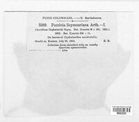 Puccinia seymouriana image